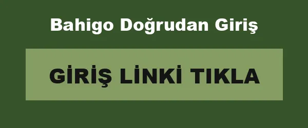 Bahigo Doğrudan Giriş infografik